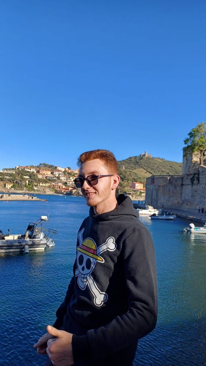 Perfil de Fedy